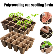 Hole Seedling Nursery Pots